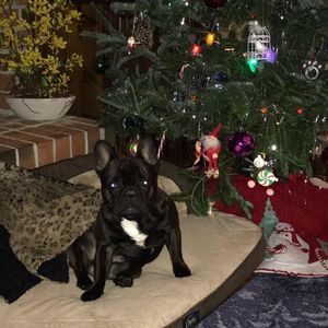 Meet your Posher, Beth